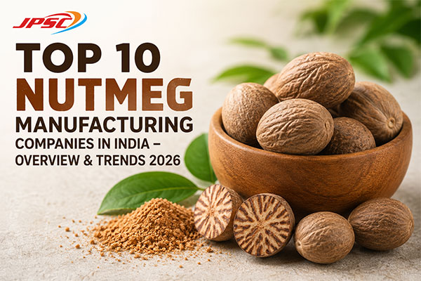 Top 10 Nutmeg Manufacturing Companies in India – Overview & Trends 2026